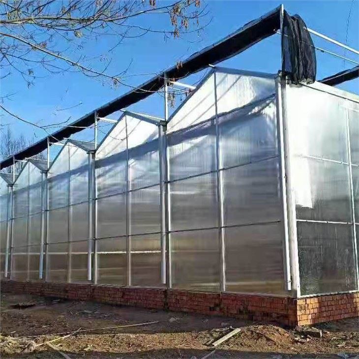 Стакленик од поликарбоната