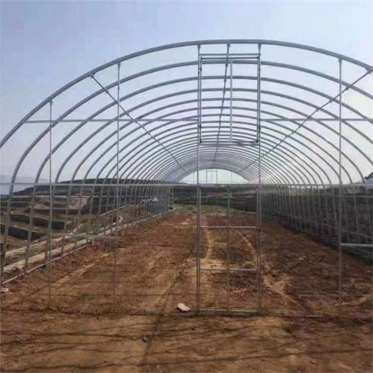 Singlespan Film Greenhouse