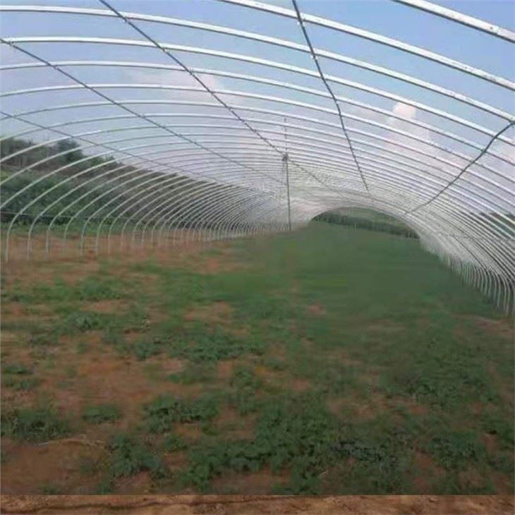 Singlespan Film Greenhouse