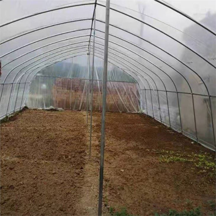 Singlespan Film Greenhouse