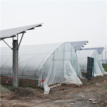 Тунел Греен Хоусе