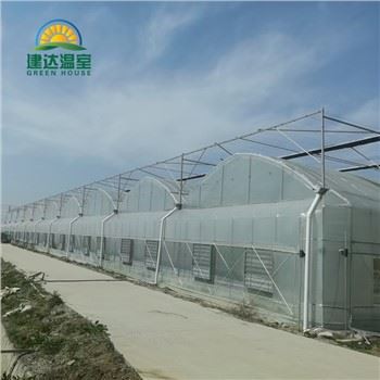 Стакленик зелене салате са хидропоником