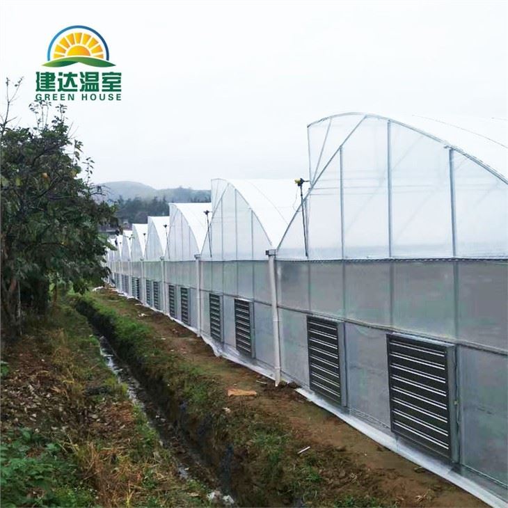 Tropical Greenhouse Sawtooth Roof
