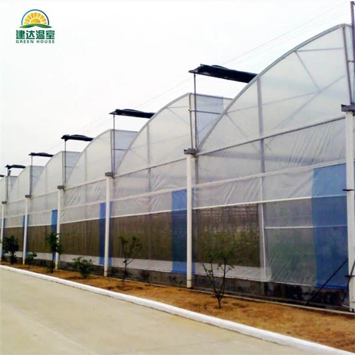 Tropical Multi Span Film Greenhouse
